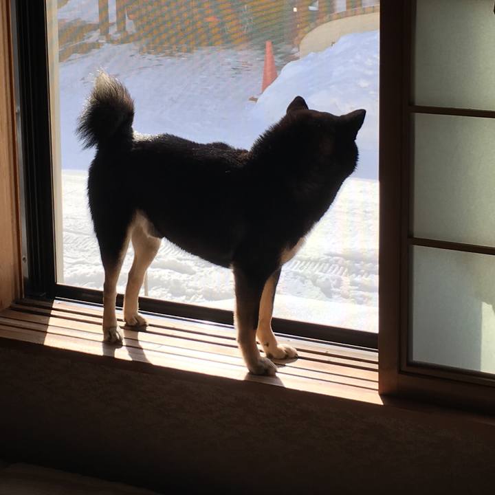 04d01c6c c0a3 4170 b723 880a2963cc82