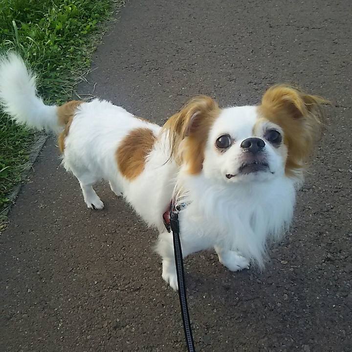 04d0a845 9c8e 4506 8ace 45c76854910c