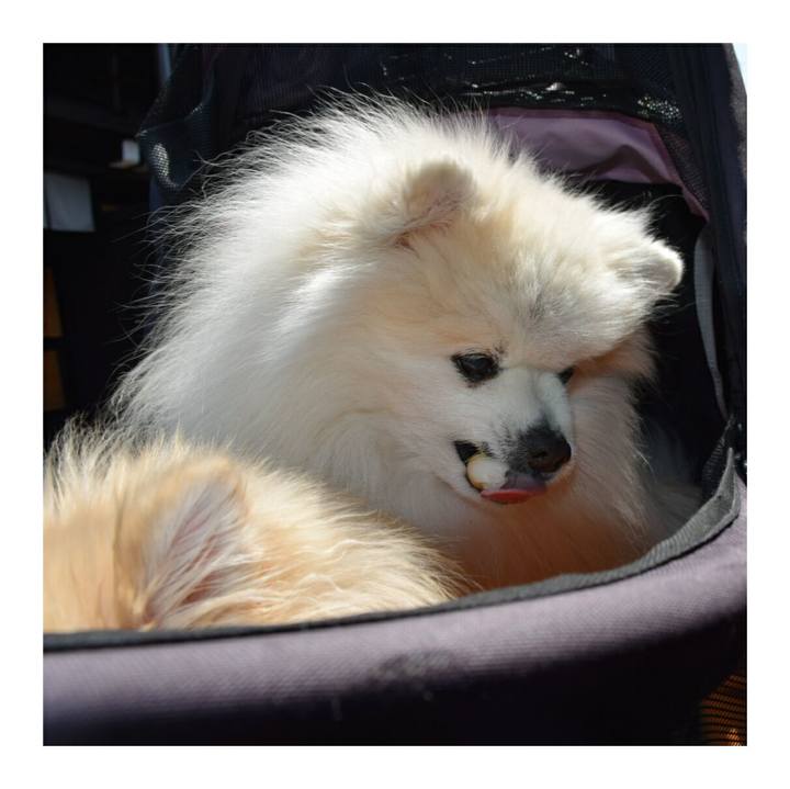 04d11dbc 1ed3 44f3 9a43 56809f56c3fc