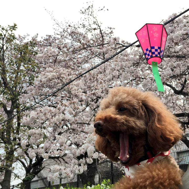 04d1857e 495a 4b7c 83fd 962fe1544536