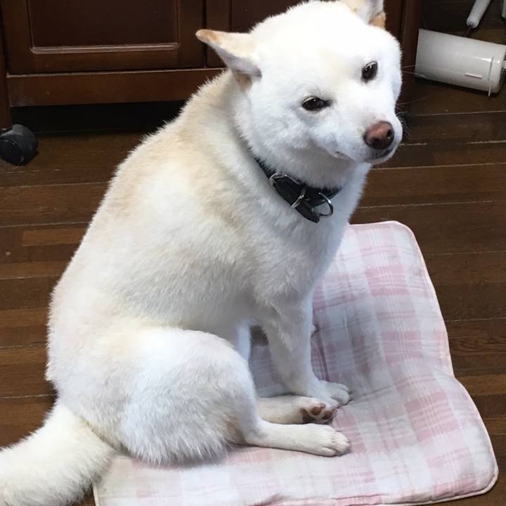 04d2611e ed04 4787 a564 e74d705c55c8