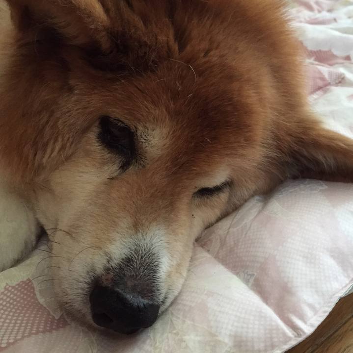 04d274e3 7891 44a4 a400 61e75c6f51a8