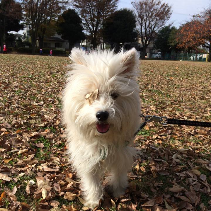 04d2dc46 a604 4f35 a630 9eab7efc365c