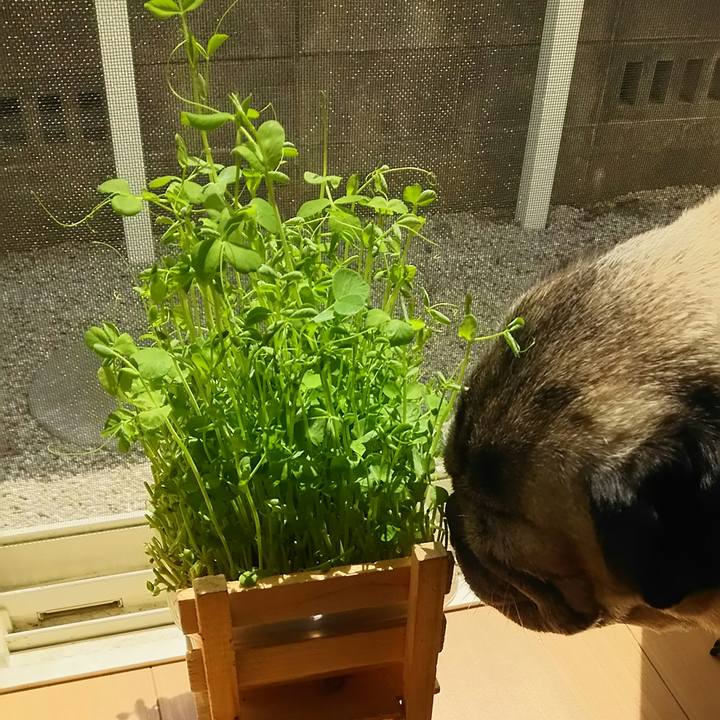 04d458c0 83f6 45be ba9d 2bfb42c22151