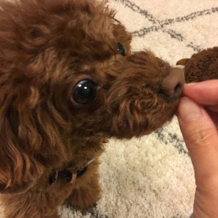 04d48813 b70d 4d15 88f5 300b046c3c61