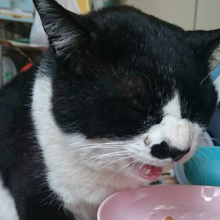 04d49409 9041 4bd1 a1bc 0ea5449c65ce