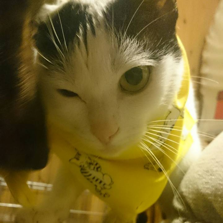 04d496f0 6bab 46b1 a9ab 2b1875d56695