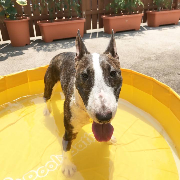 04d57fab b1f8 4714 8ea3 59409932ea19