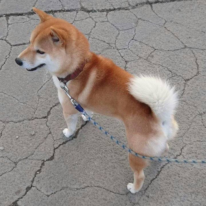 04d67b75 9a8d 4b6e a9bd 9bf11930adda