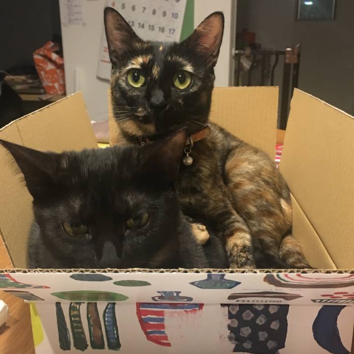 04d7c255 c072 4fc4 935b 2674237d078f