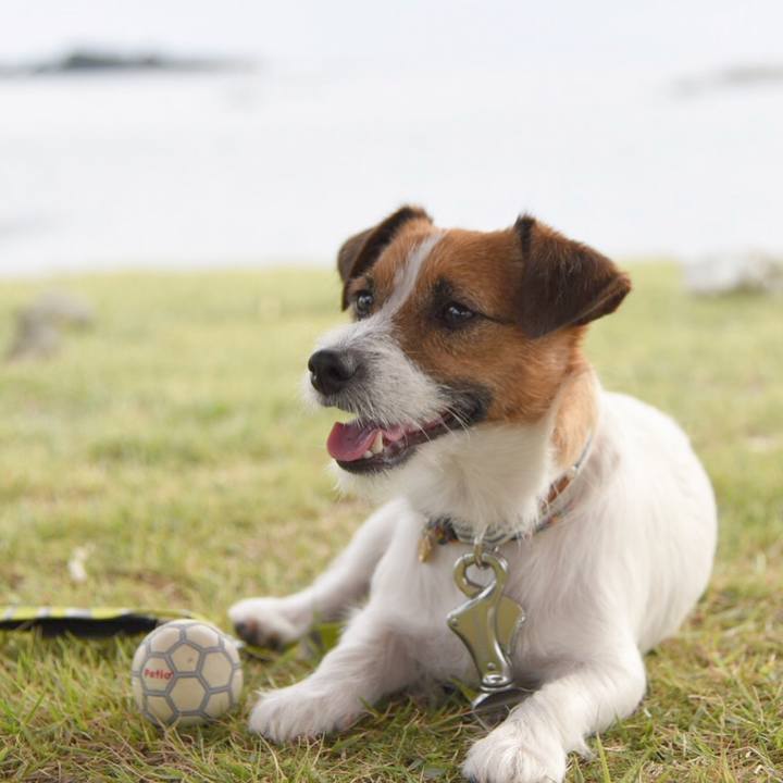 04d7f262 9f7e 4b59 a3aa 2e8581b3dd2b