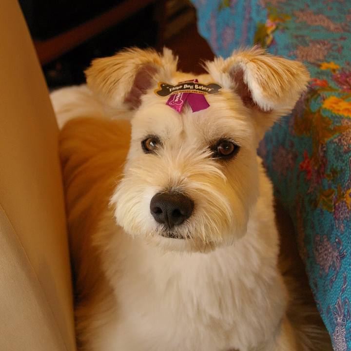 04d7fc34 67c0 46fa aae9 f993e217651f