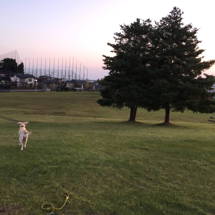 04d83804 ddcb 41c8 b04f a4f275f42cb8