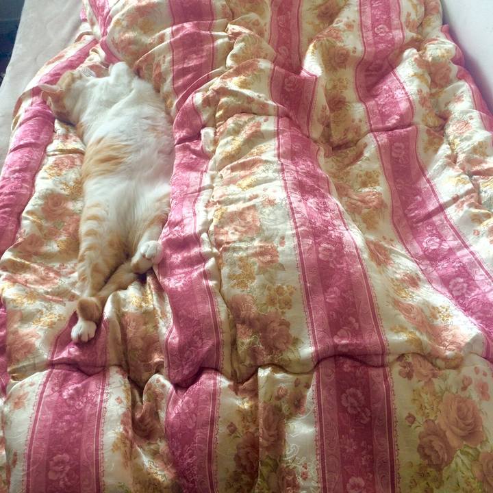 04d87155 9688 4e4f b071 0bd203c6c563