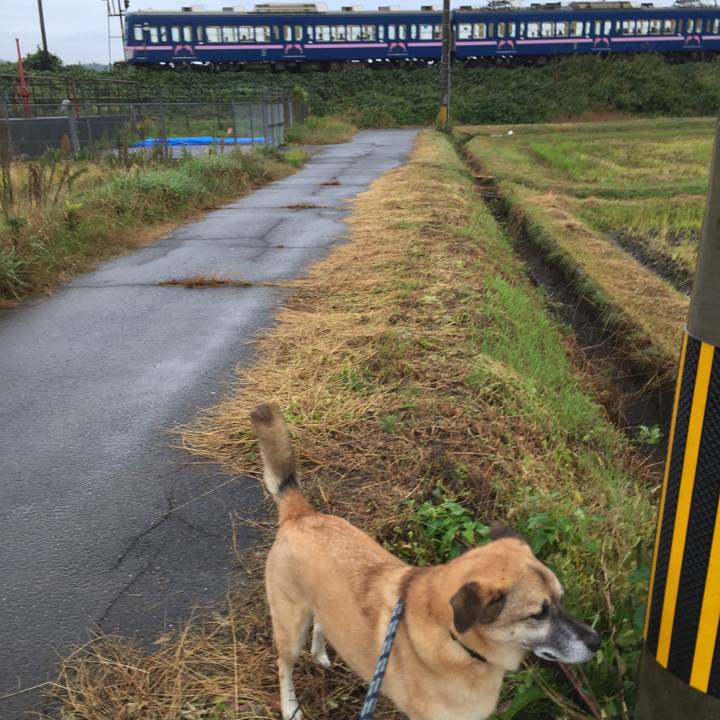 04db28e8 aa68 41b2 980e a5757dfdb4ef