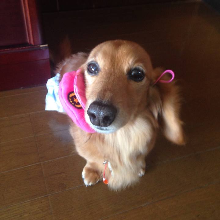 04db83b9 f67c 4030 8b3d e07edb8a34b2