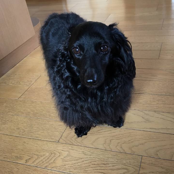 04dbccb2 e387 41d1 9afa cc9f1c40dbd5