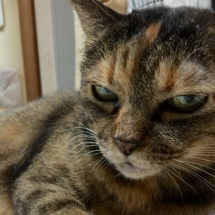 04dd22e0 3689 43c9 ad47 2e98003a7745