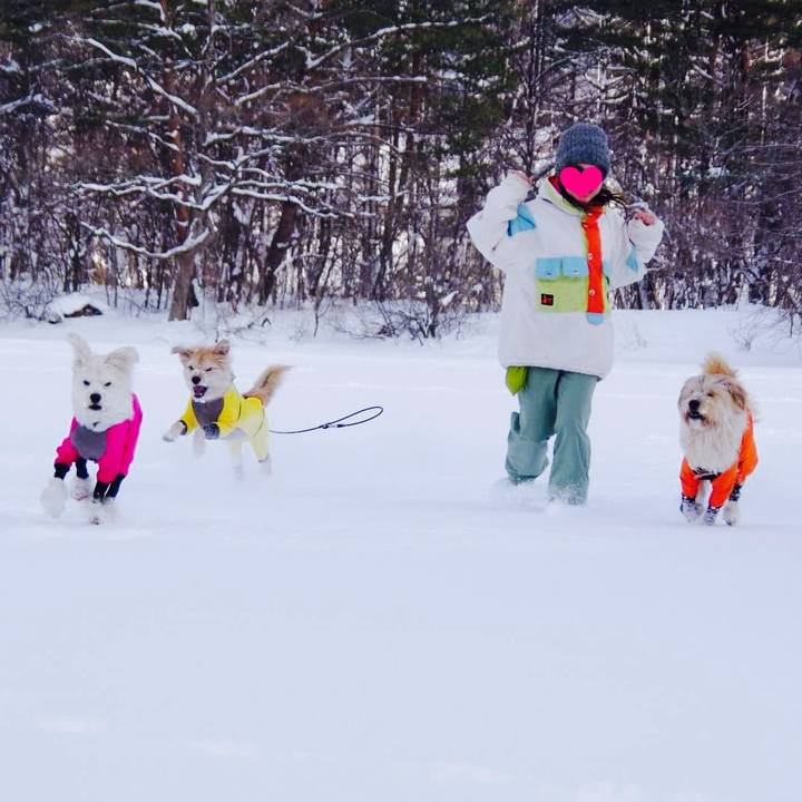 04dd5d83 cccd 426d 906b 46d403172ce1