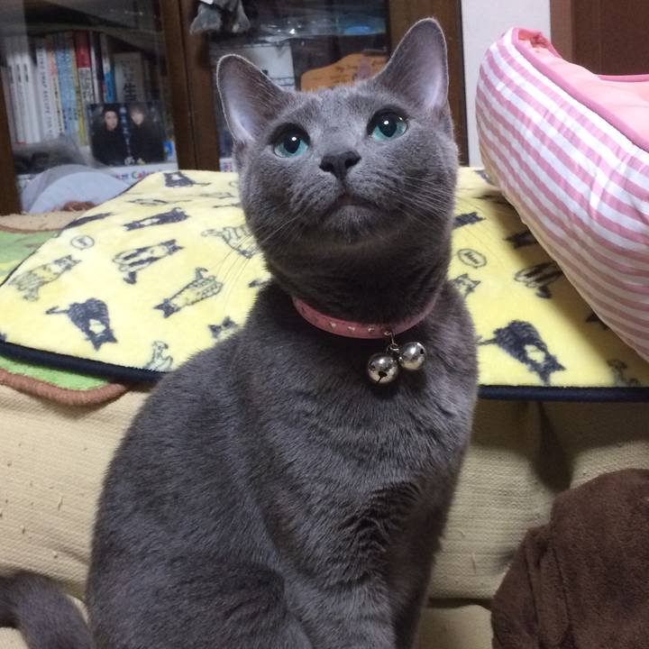 04dd634b 05e5 4137 bbb5 493cca6f7a30