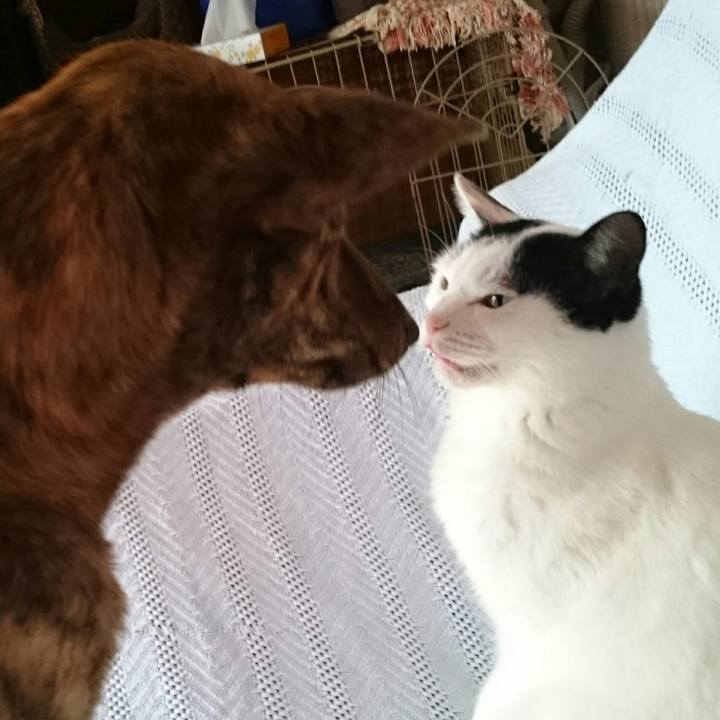 04dd74ff 7d8b 482b 98f9 8ae998937951