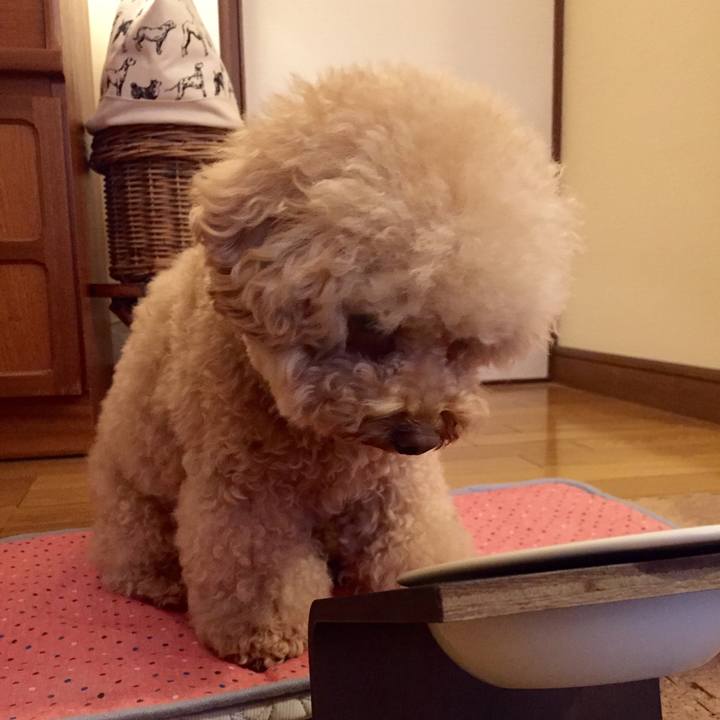 04dd9dce c3e0 4312 bb91 af62b6cfdea5