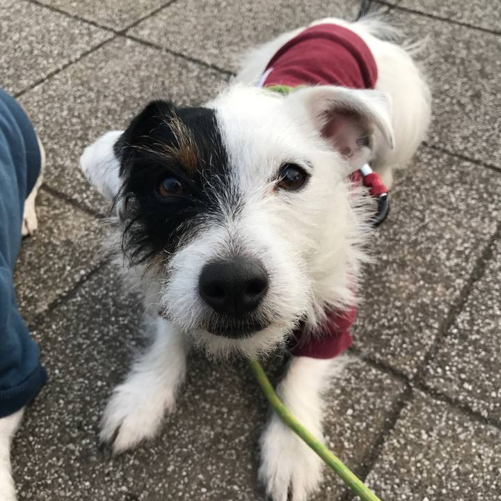 04ddef83 34ad 46fa a189 a994c04a20c0