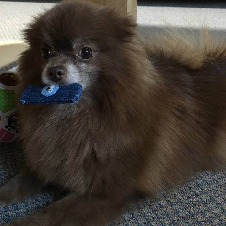 04df770f 20cb 42aa 8baa c33c985a9d42