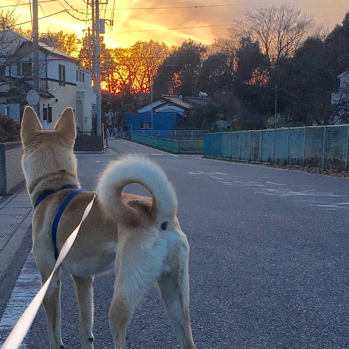 04dfad83 3f6d 4e38 8358 e3f959fbfc5e