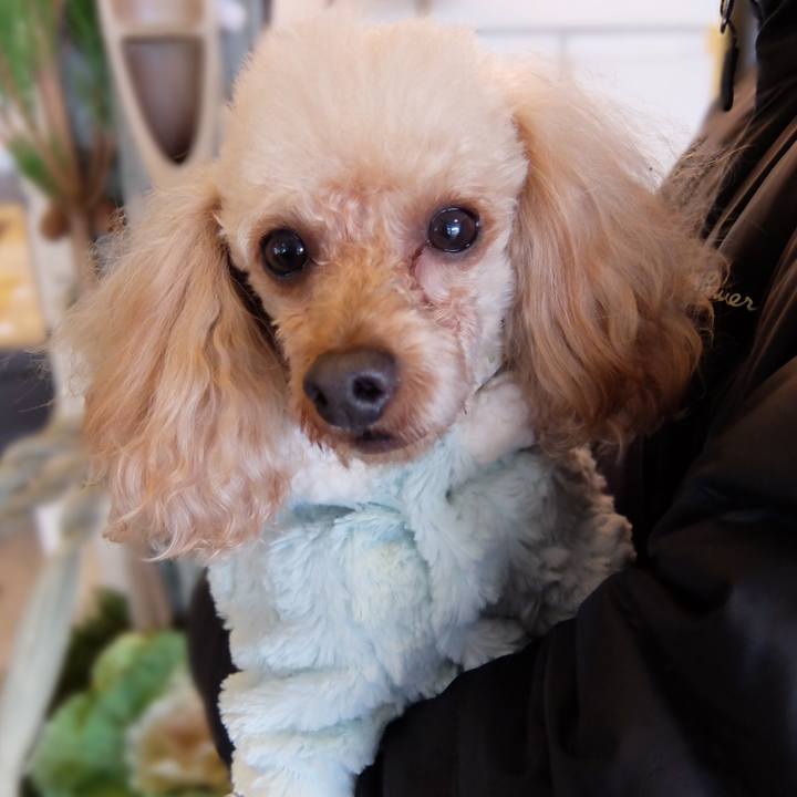 04e08187 90c8 4be6 81e5 83f259e3eaa0