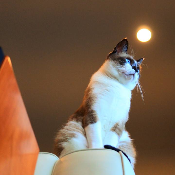 04e0d35d f475 4c95 9c4e 301385b51950