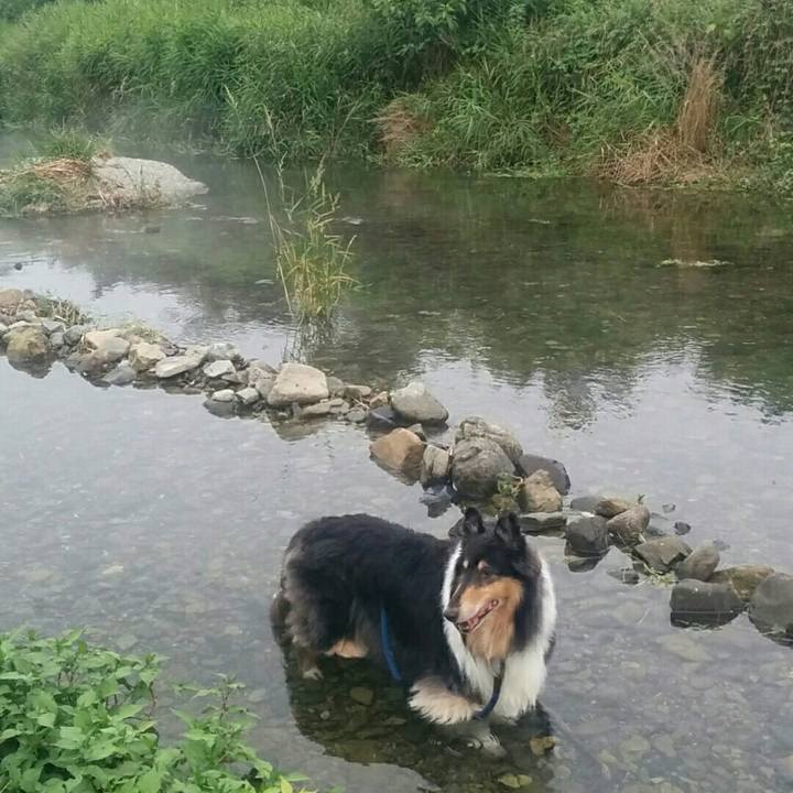 04e0f6f4 d657 4eeb 8b09 9986a9f8e687