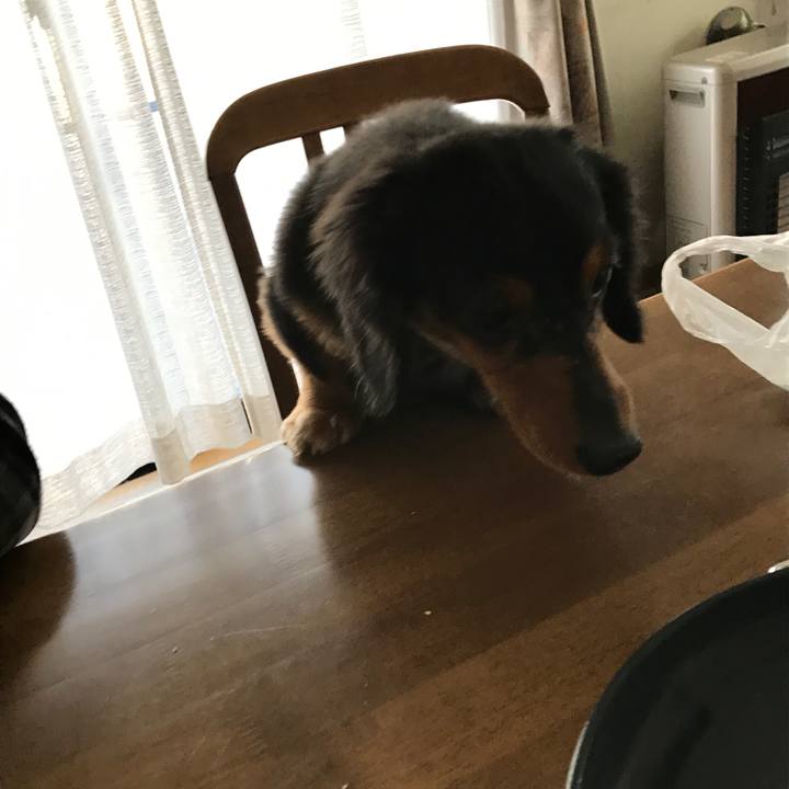 04e1104e d727 4ca7 97f6 7a6983cfc957