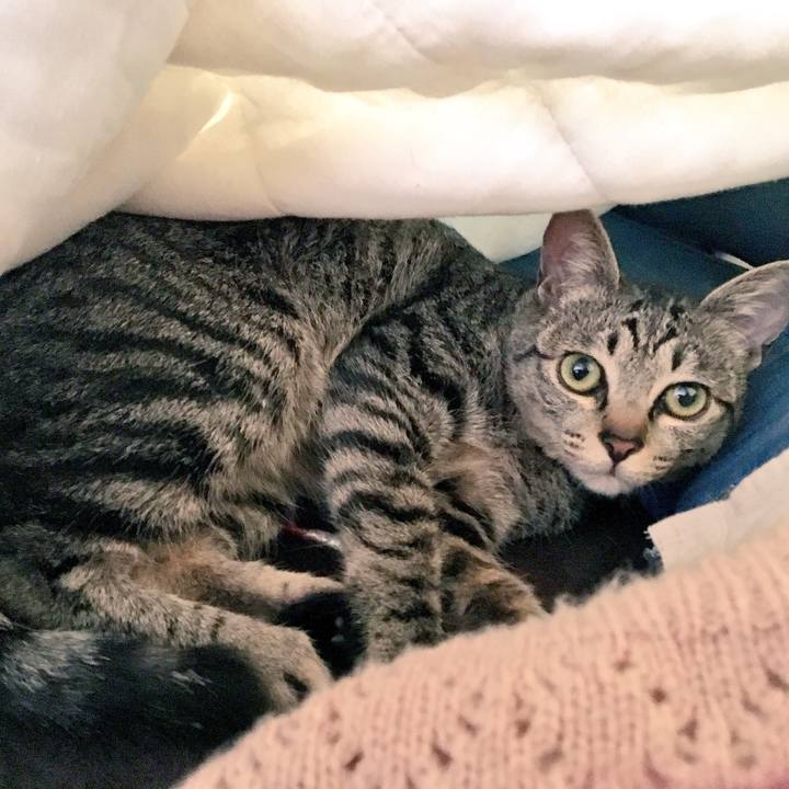 04e1a125 9b80 4f6c 8a03 51b966cf838e