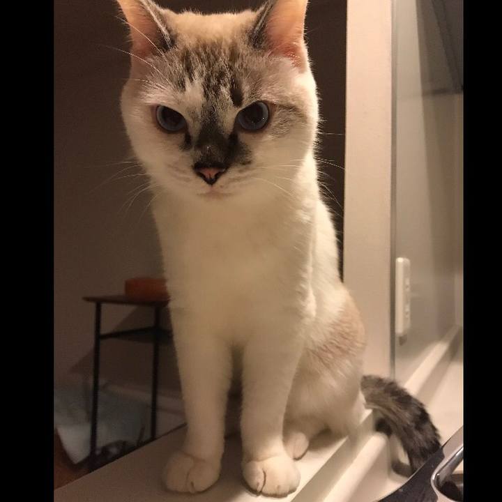 04e1e5fa 4c94 442c 9cbc 1e0ebb99b5df