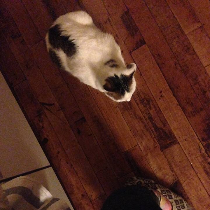 04e21214 c376 46e0 ad4a 4491872cf68c