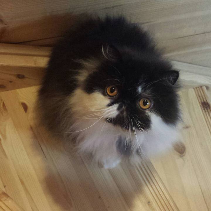 04e21bb3 e013 4957 b01e b8deedb1acbb