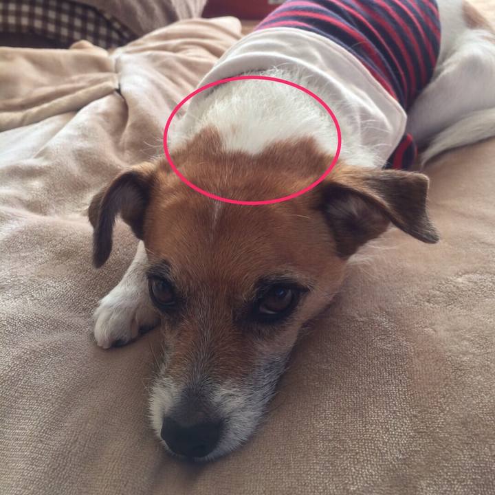 04e282e9 3cc0 4bc9 9209 e6bf01c9f9b5