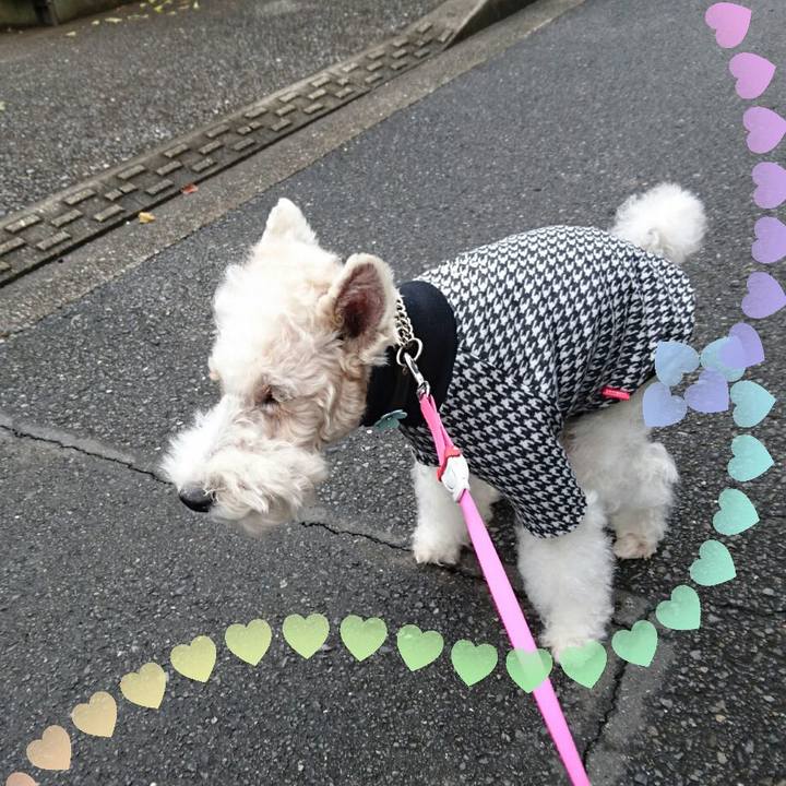 04e3e085 d96d 4169 b53c 53b8d7808053