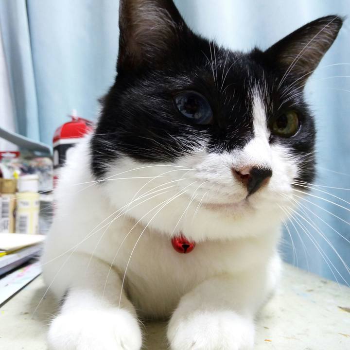 04e3e4ce 4d03 41ba 82ac 3bcc0d95c6dc