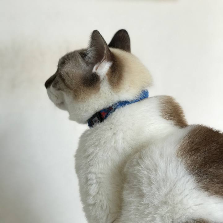 04e414e8 6161 4616 92a7 40ebca696a75