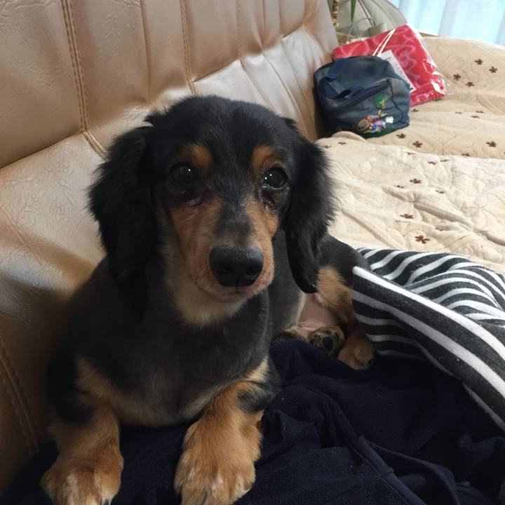 04e43a82 721c 4ae8 8dab ccc710393e57