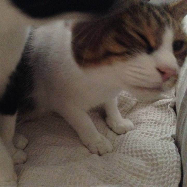 04e57c4c dd02 4712 96bf d5e23b74c7df