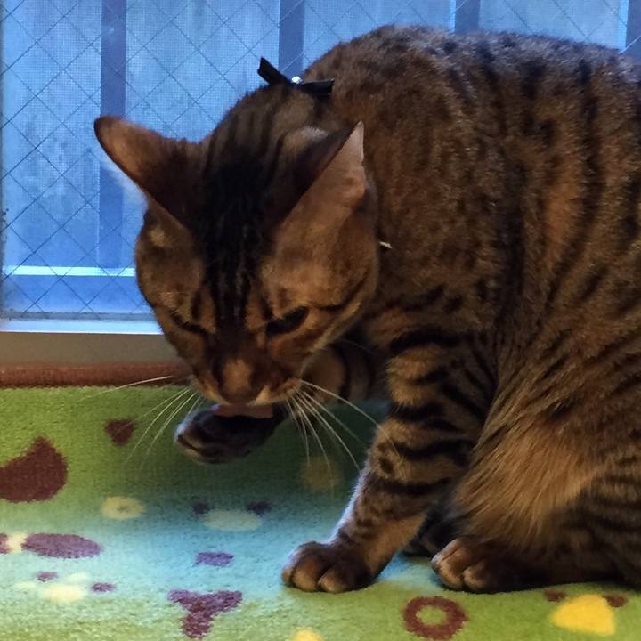 04e59227 3c3d 41ef 8091 09dcd65135d6