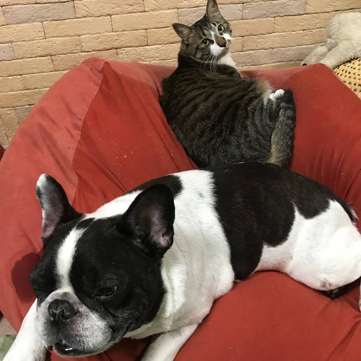 04e5c178 6e85 4d2b 8d83 a9d108f53881