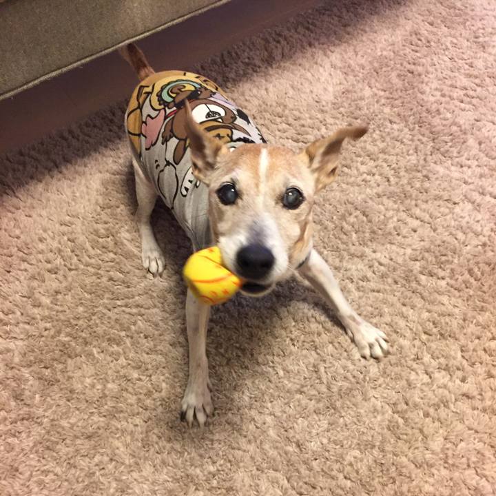 04e5f5f2 c38a 4939 9999 5266990d91a0