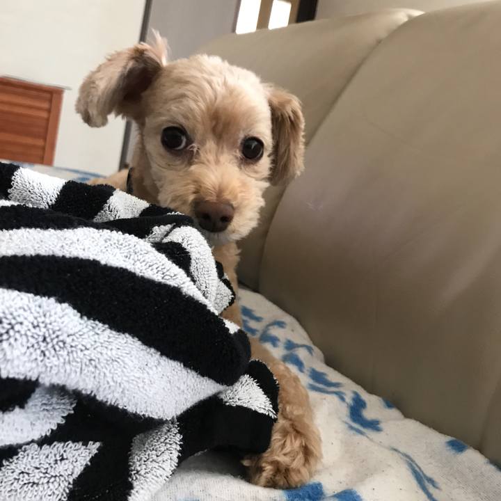 04e5f95c b062 4a87 9948 dba427f0582f