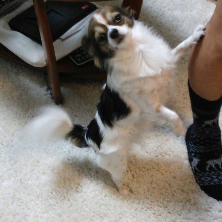 04e66398 348c 47fe 8751 c9100ec59fb6