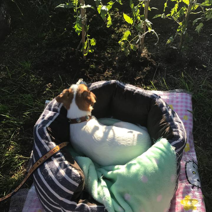 04e806fe 27d2 4ebf b706 801f33146811