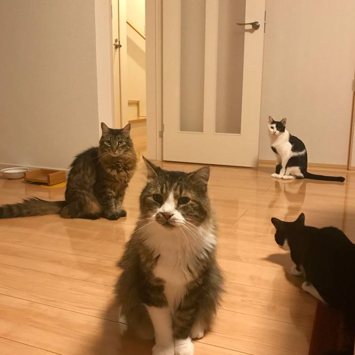 04e87167 572d 4e26 a5c5 5be33e4e9b18